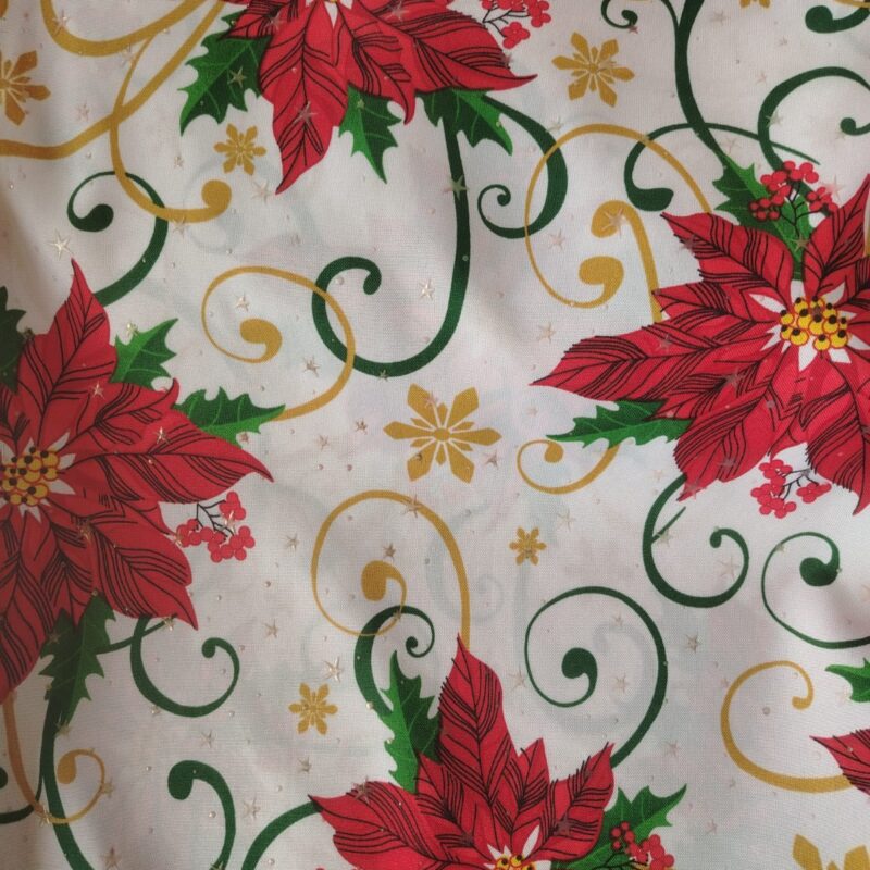 Camino de Mesa Nochebuenas